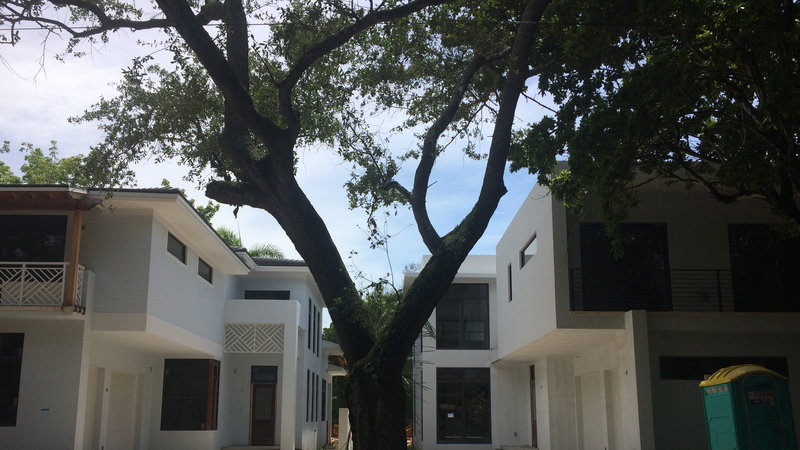 Help support reasonable restrictions on allowable building size in Coconut Grove.